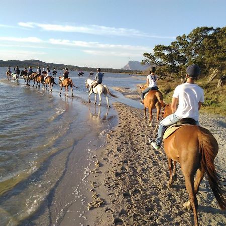 Appartamento Sette Posti Vicino Al Centro Di San Teodoro Сан-Теодоро Экстерьер фото