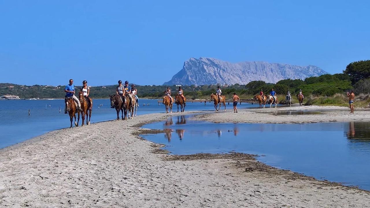 Appartamento Sette Posti Vicino Al Centro Di San Teodoro Сан-Теодоро Экстерьер фото