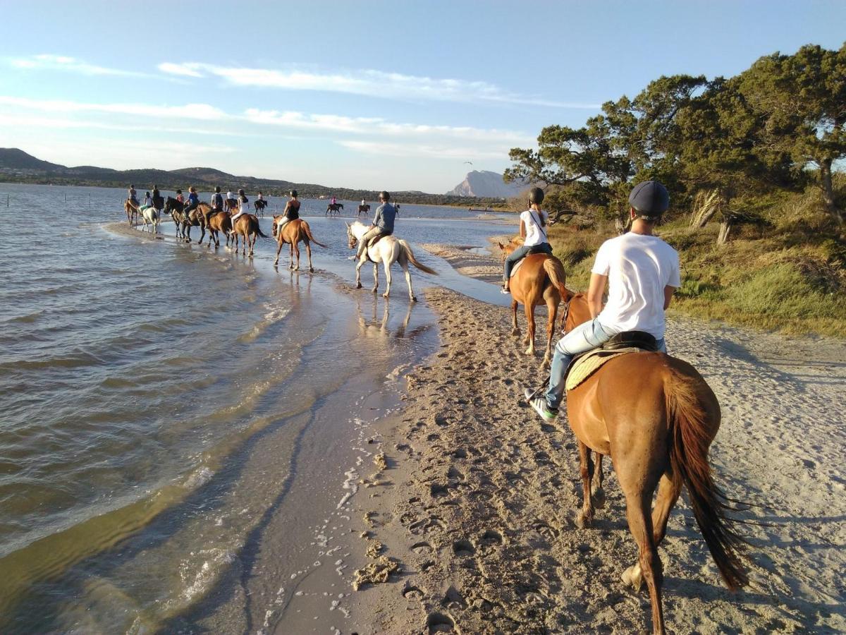 Appartamento Sette Posti Vicino Al Centro Di San Teodoro Сан-Теодоро Экстерьер фото